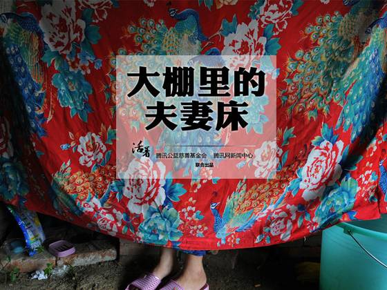 活着_大棚里的夫妻床