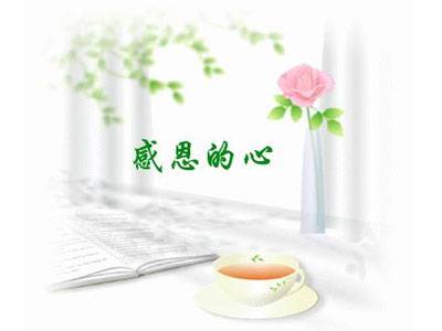 感恩生命,感恩亲人,感恩生活